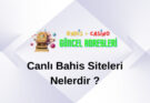 Canlı Bahis Siteleri Nelerdir ?​